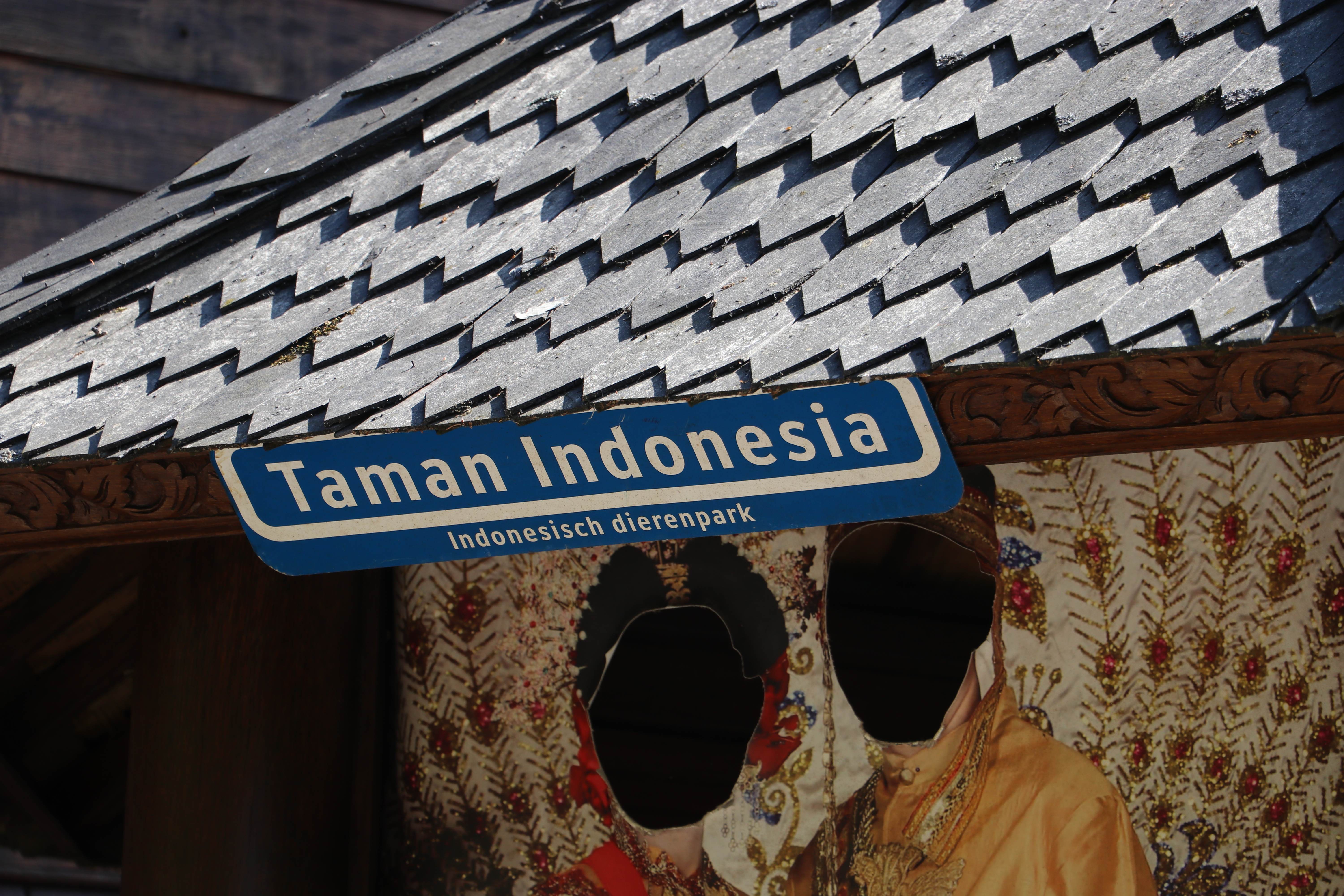 27 ovo_230621_taman_1246.JPG
